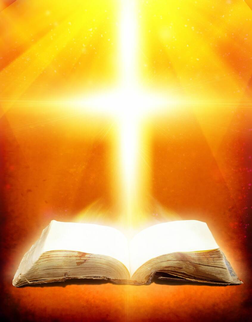 Discover Your Perfect Match With Elite Dating Services in Palm Beach FL